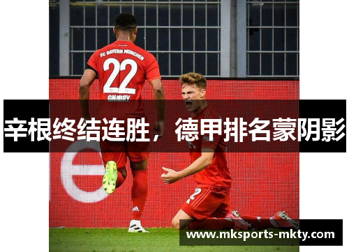 辛根终结连胜，德甲排名蒙阴影