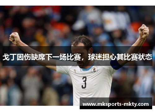 戈丁因伤缺席下一场比赛，球迷担心其比赛状态