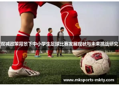双减政策背景下中小学生足球比赛发展现状与未来挑战研究